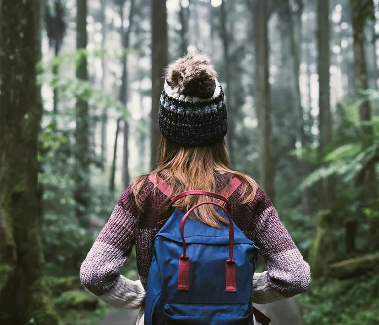 Willingen zu jeder Jahreszeit: Die besten Aktivitäten im Überblick