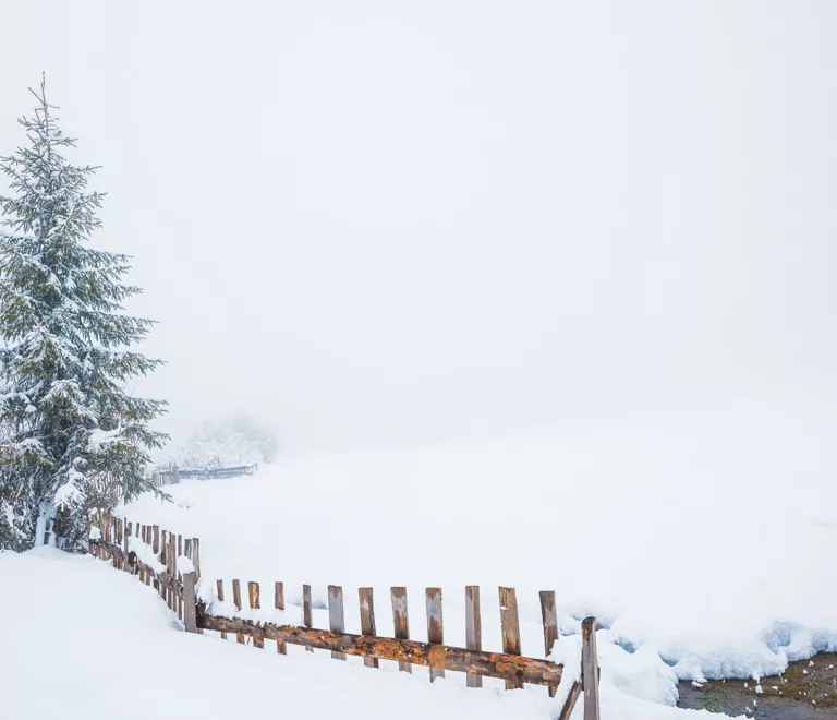 Willingen (Upland) im Winter: Ein Winterparadies voller Magie und Abenteuer